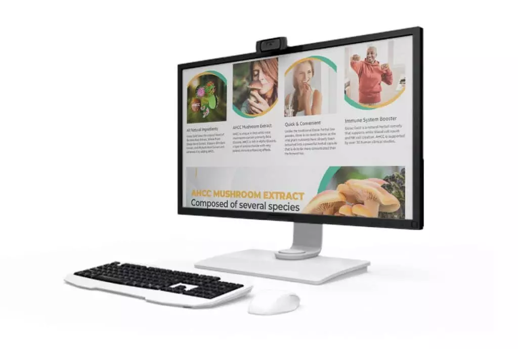 example Website in Desktop