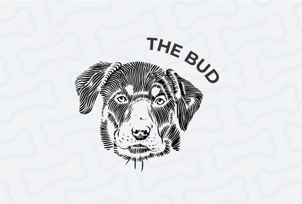 The Bud